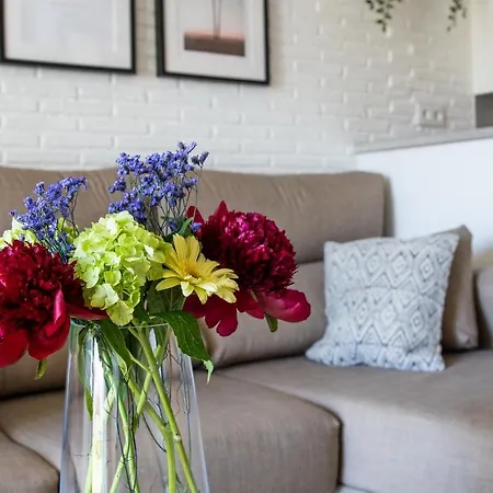 Chada モロ・デル・ハブレ