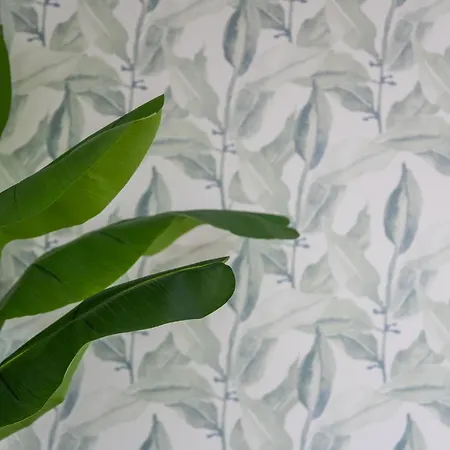 Chada Апартаменты *