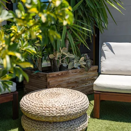 Chada Морро-дель-Хабле